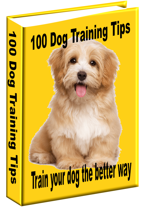 100 Dog Training Tips