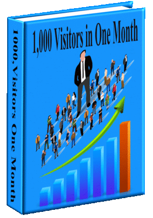 1,000 Visitors in One Month