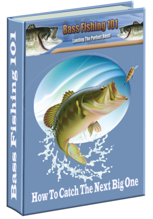 Bass Fishing 101
