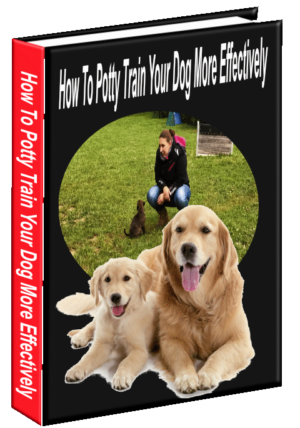 How To Potty Train Your Dog More Effectively