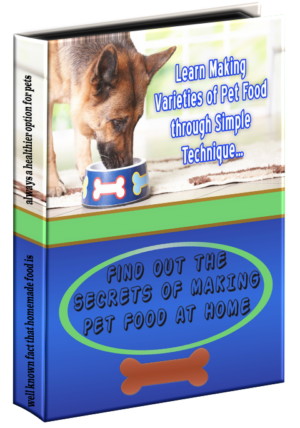 Find out the Secrets of Making Pet Food at Home