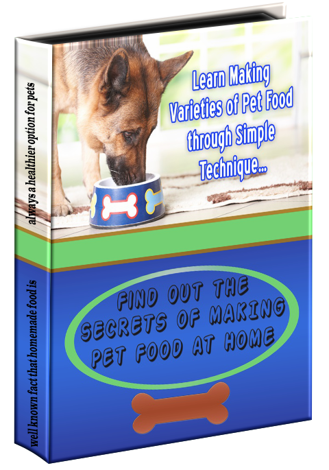 Find out the Secrets of Making Pet Food at Home