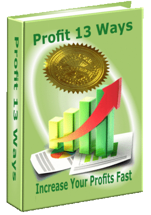 13 Ways to Increase Your Profits Fast