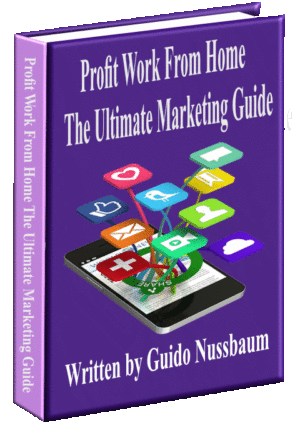 Profit Work From Home Guide