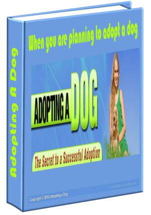Discover The Secrets To Successfully Adopting A Dog!