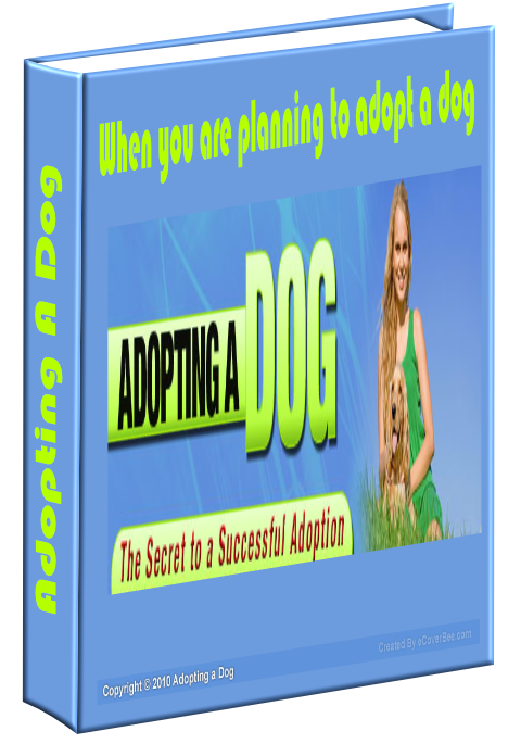 Discover The Secrets To Successfully Adopting A Dog!