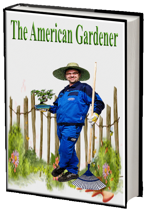 The American Gardener