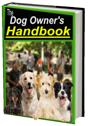 The Dog Owner's Handbook