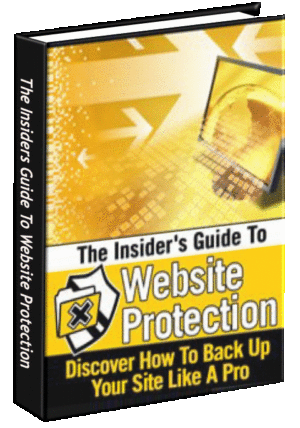 The Insiders Guide To Website Protection