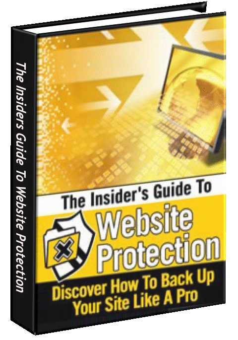 The Insiders Guide To Website Protection